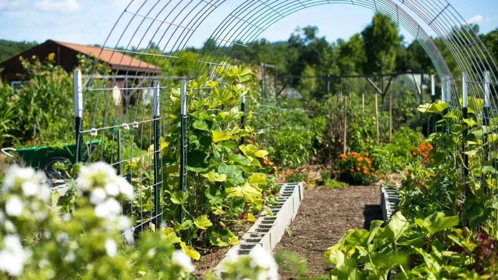 Climate Resilience in the Garden: Adapting What You Already Have - Featured image