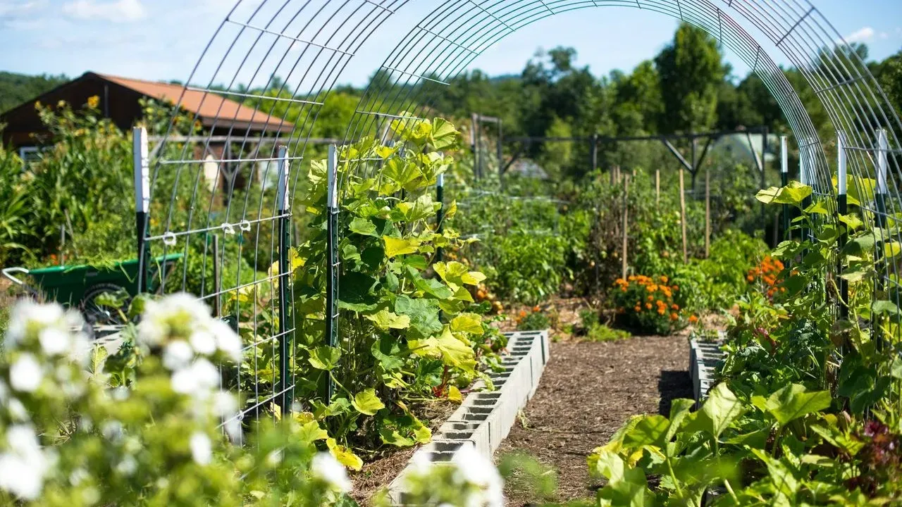 Climate Resilience in the Garden: Adapting What You Already Have