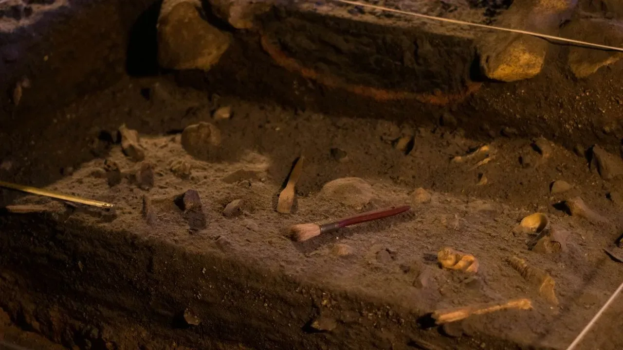 Thunder Beast Remains Discovered in Oceanside Excavation