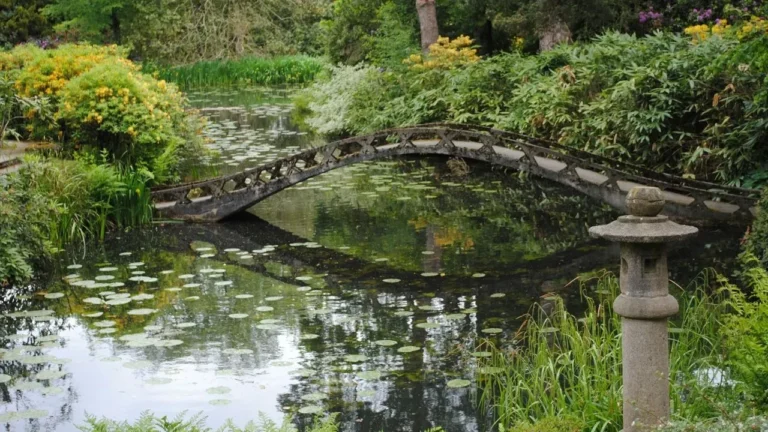 Pond Expansion Transforms Maryland Backyard Garden - Featured image