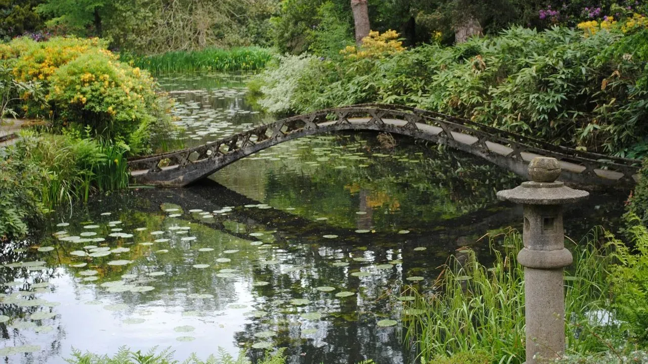 Pond Expansion Transforms Maryland Backyard Garden