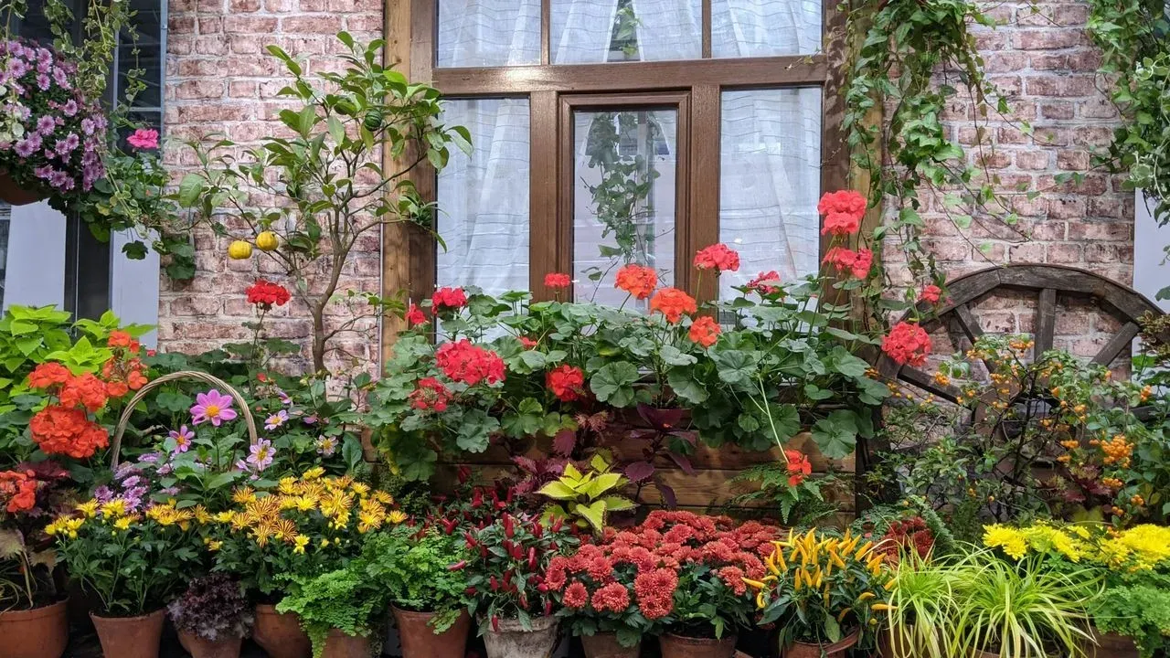 Revitalizing Summer Planters for a Rich Autumn Palette
