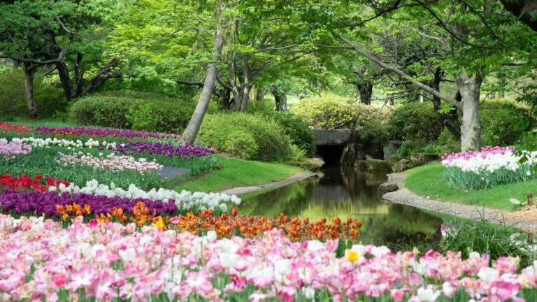 A Tiny St. Louis Garden Delivers Nonstop Color with Perennials and Containers - Featured image