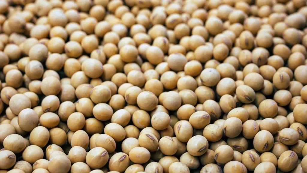 The Unseen Soybean: How One Crop Quietly Reshaped the American Diet - Featured image