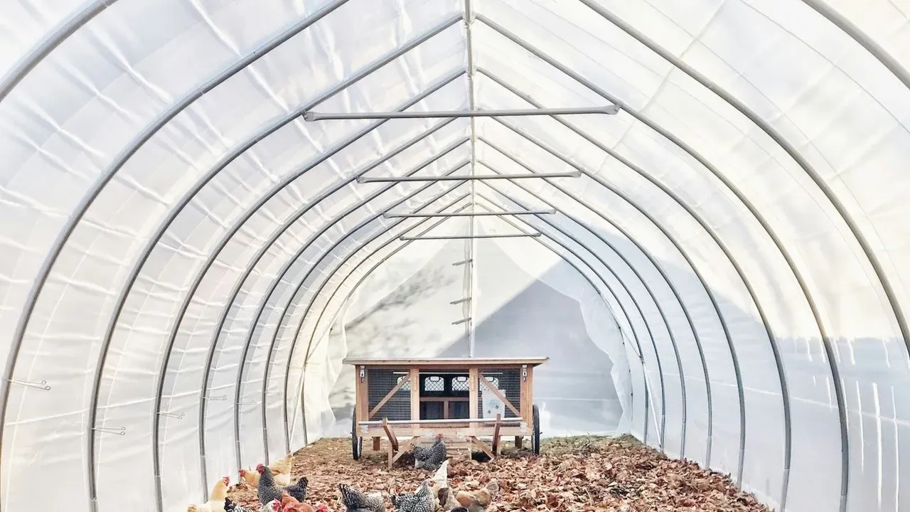 How Mobile Chicken Coops Help Build Healthier Garden Soil