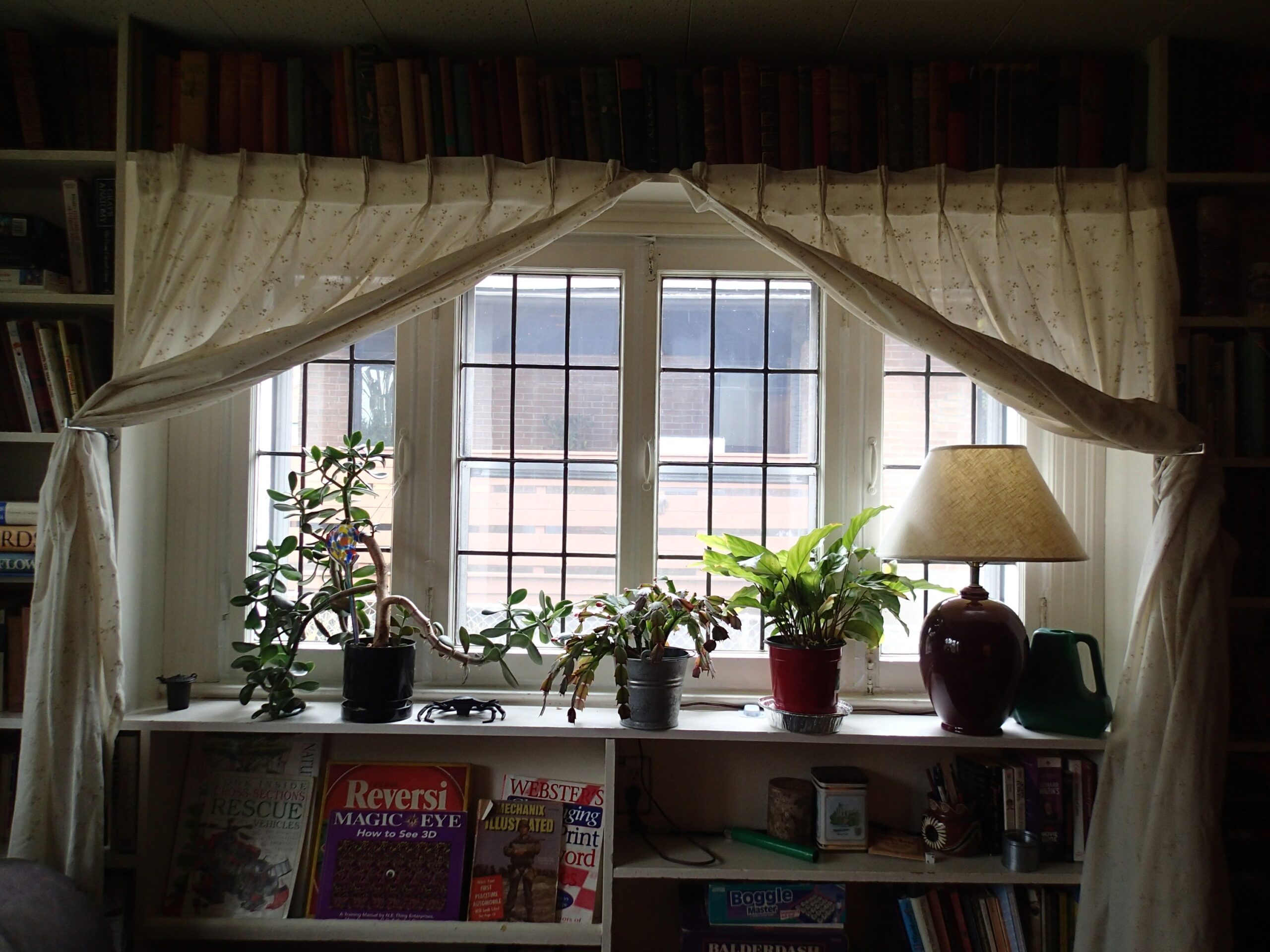 Your Zodiac Sign As A House Plant