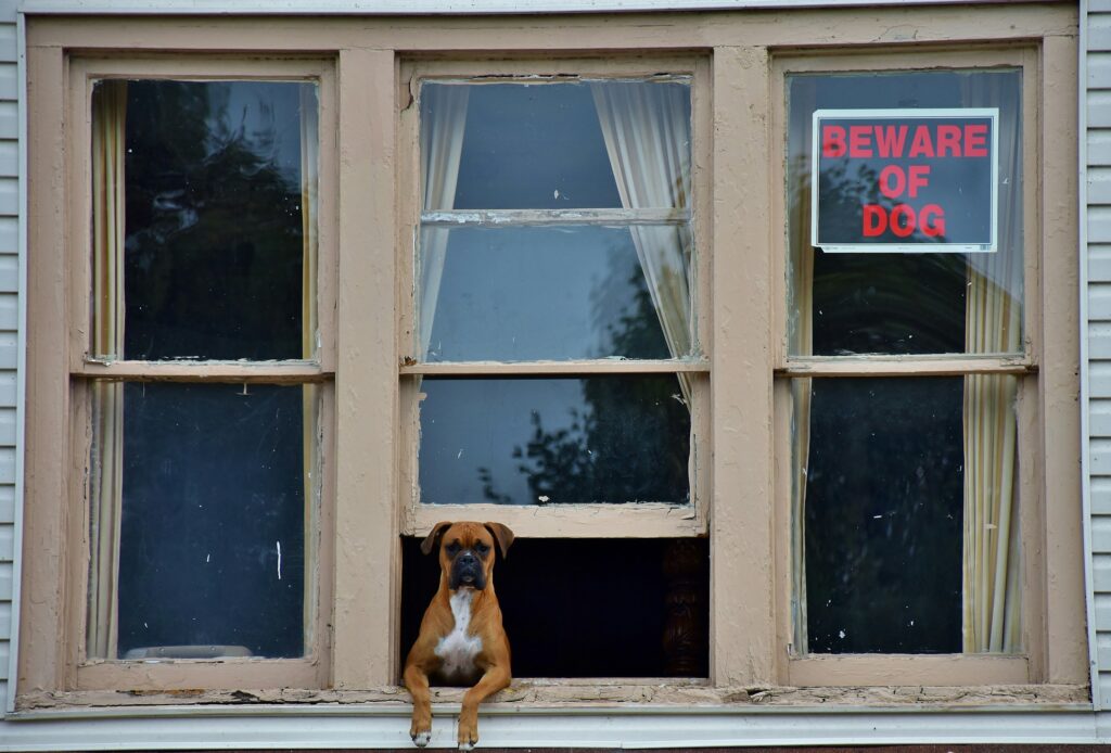 The Resting Breathing Rate Vets Want Every Dog Owner to Know - Featured image