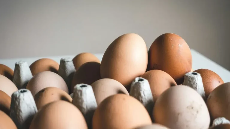 California Flags Happy Hens Eggs in Salmonella Cases - Featured image