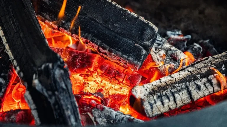 Unexpected Pitmasters Spark New York Barbecue Revival - Featured image