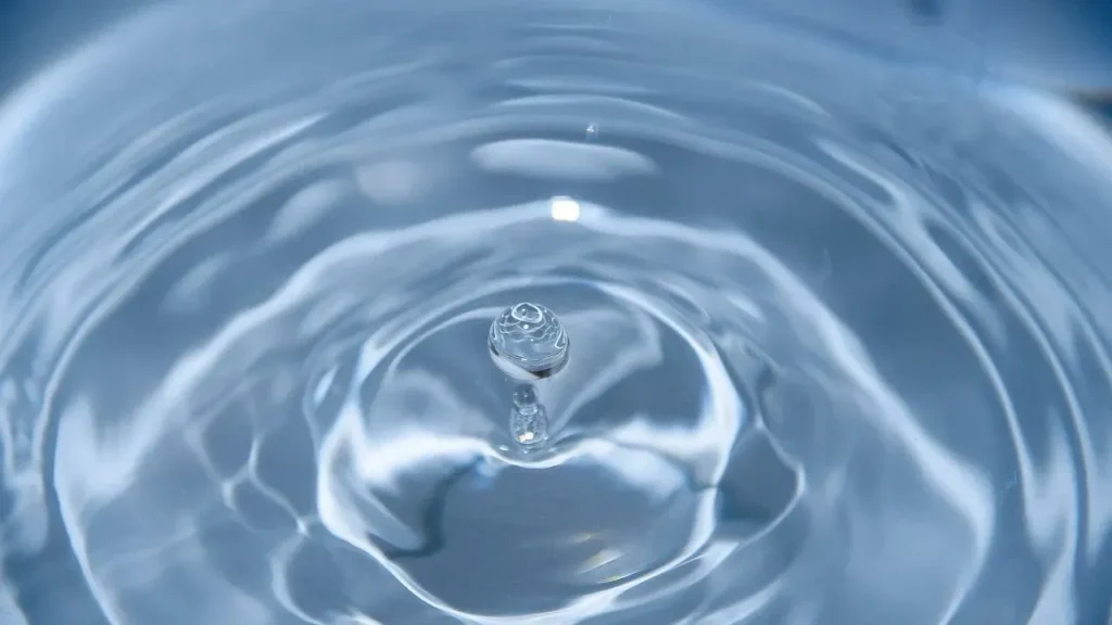 Distilled Water for Houseplants: The Facts on Longevity - Featured image
