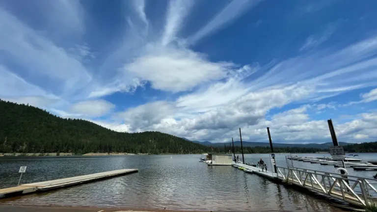 Man Dies Leaping Into Shasta Lake to Save Dog - Featured image