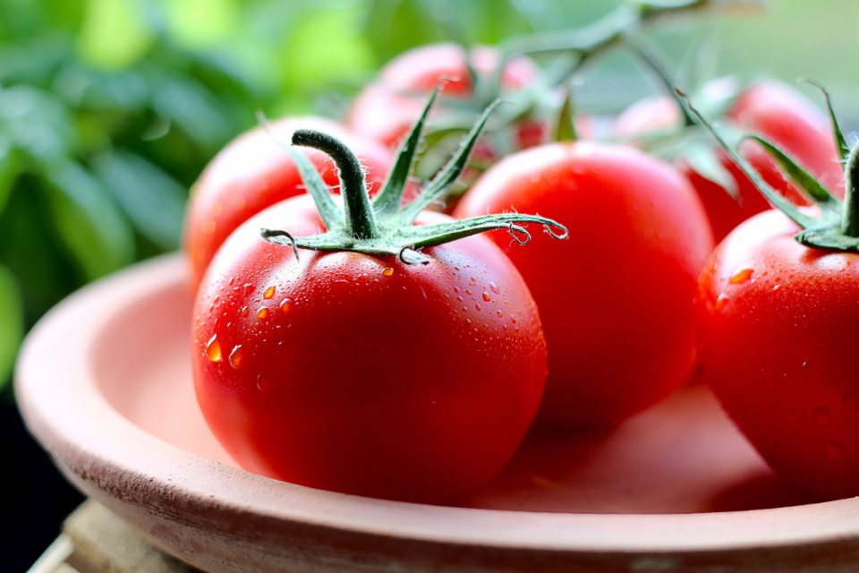 The Tomato Storage Habit That's Quietly Ruining the Flavor - Featured image