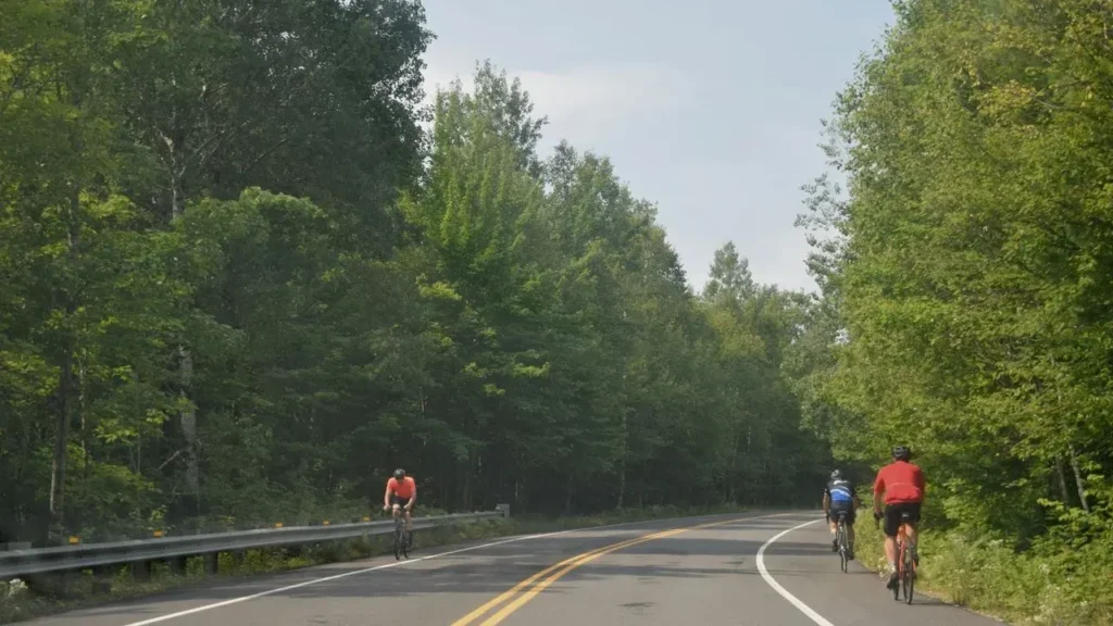National Parks Could Open More Trails to Bikes and E-Bikes - Featured image