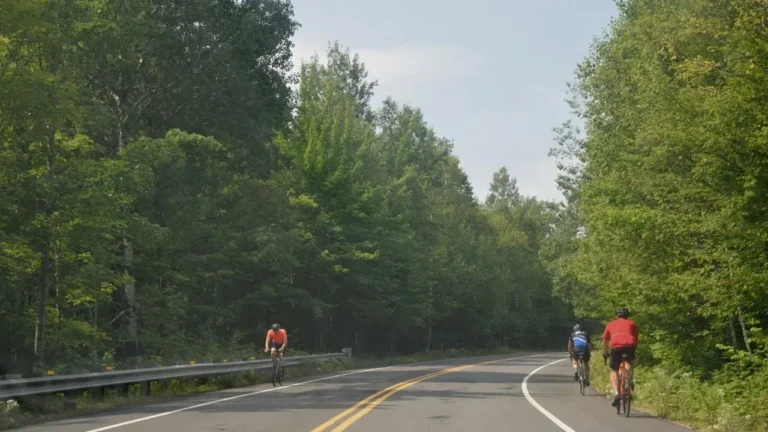 National Parks Could Open More Trails to Bikes and E-Bikes - Featured image