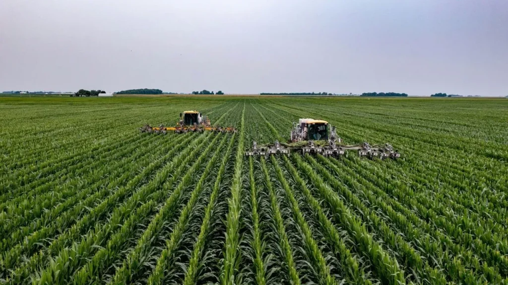 Rotate Cover Crops to Protect Your Garden Soil - Featured image