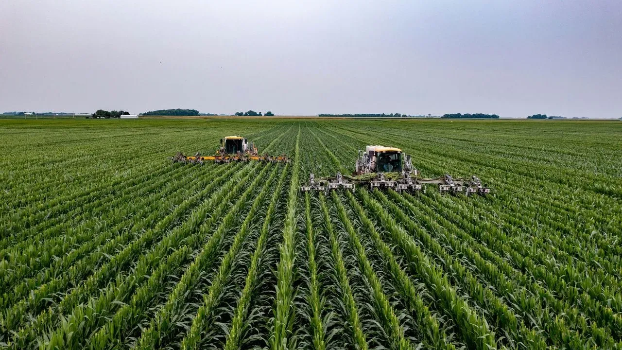 Rotate Cover Crops to Protect Your Garden Soil