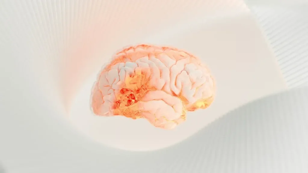 The Midlife Vitamin D-Brain Connection Most People Overlook — And How Outdoor Time Fits In - Featured image