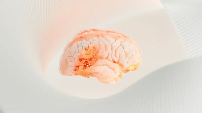 The Midlife Vitamin D-Brain Connection Most People Overlook — And How Outdoor Time Fits In - Featured image
