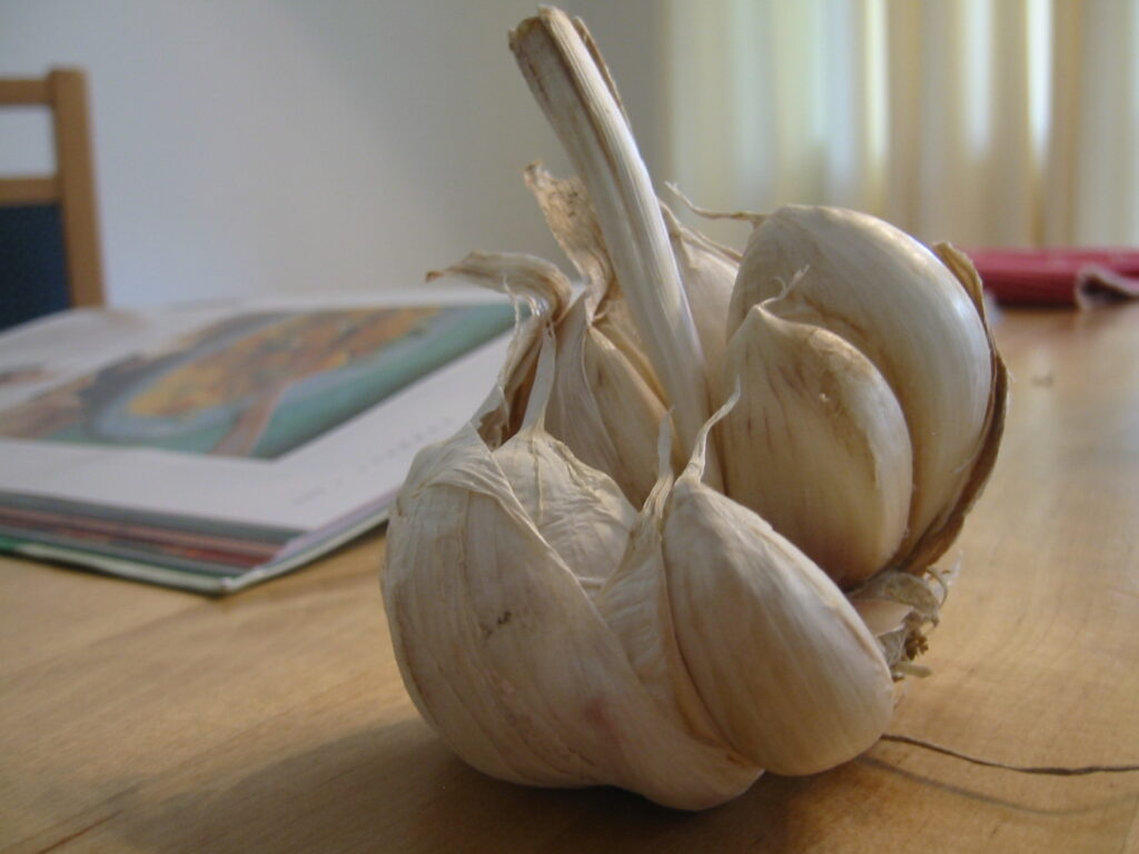 Why You Should Let Chopped Garlic Sit for 10 Minutes Before Cooking - Featured image