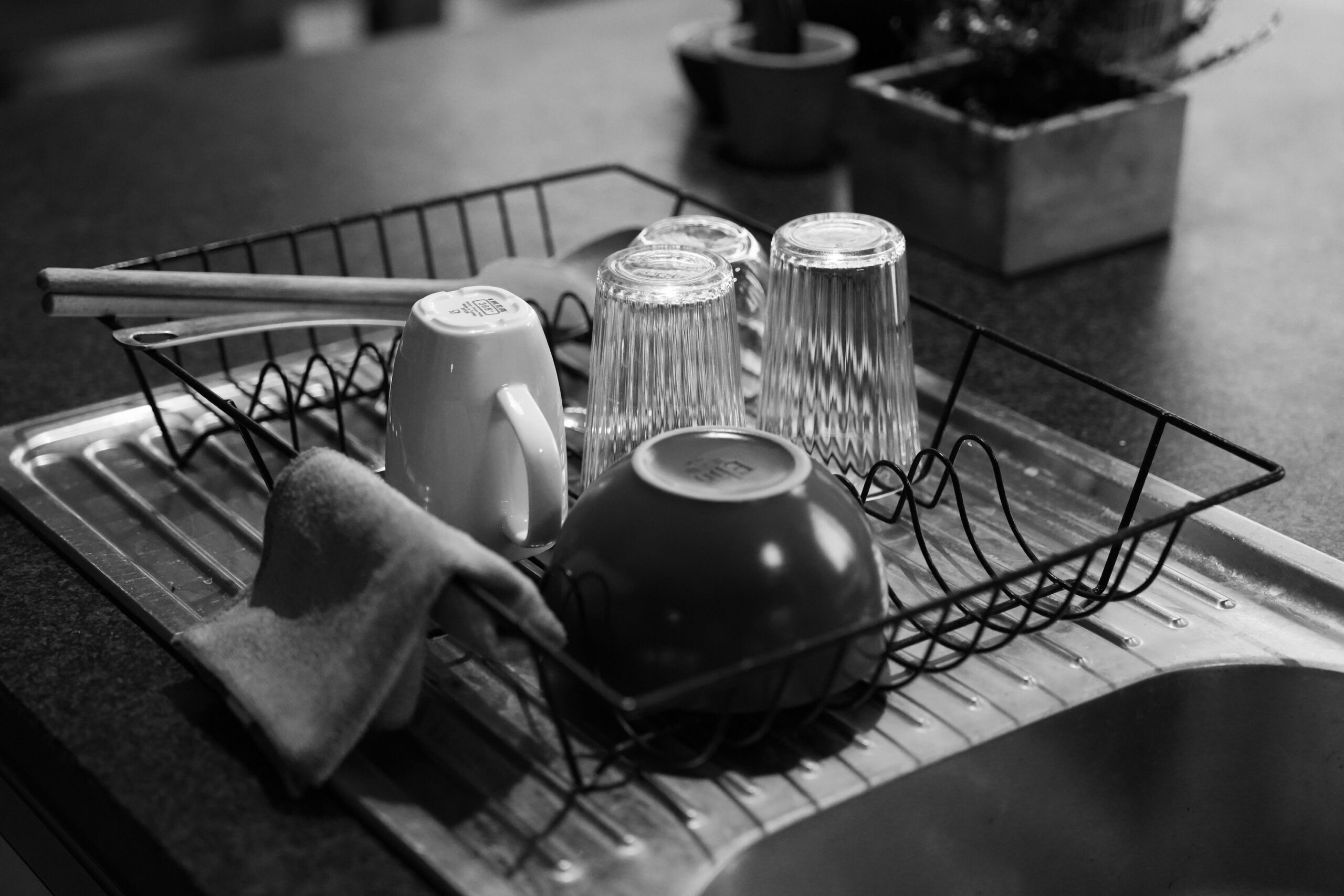 The Dish Rack Habit That's Quietly Breeding Mold