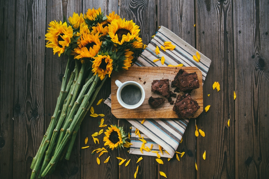 Why Sunflowers Stop Following the Sun as They Get Older - Featured image