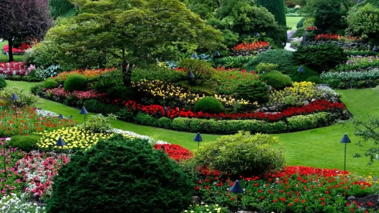 The Budget Landscaping Trick That Can Transform Your Yard Without a Big Renovation - Featured image