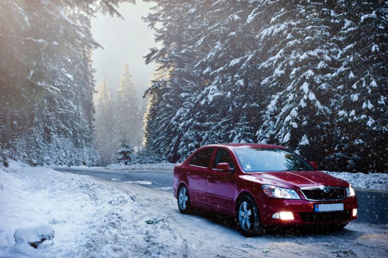 The Items You Should Never Leave in a Cold Car Overnight - Featured image