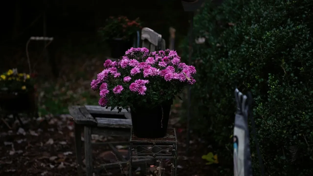 The One Change That Keeps Summer Containers Looking Fresh Into Fall