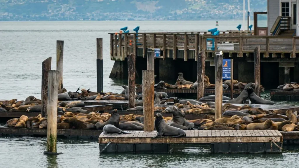 Ripley's Believe It or Not! to Close Fisherman's Wharf Location After Nearly 60 Years - Featured image