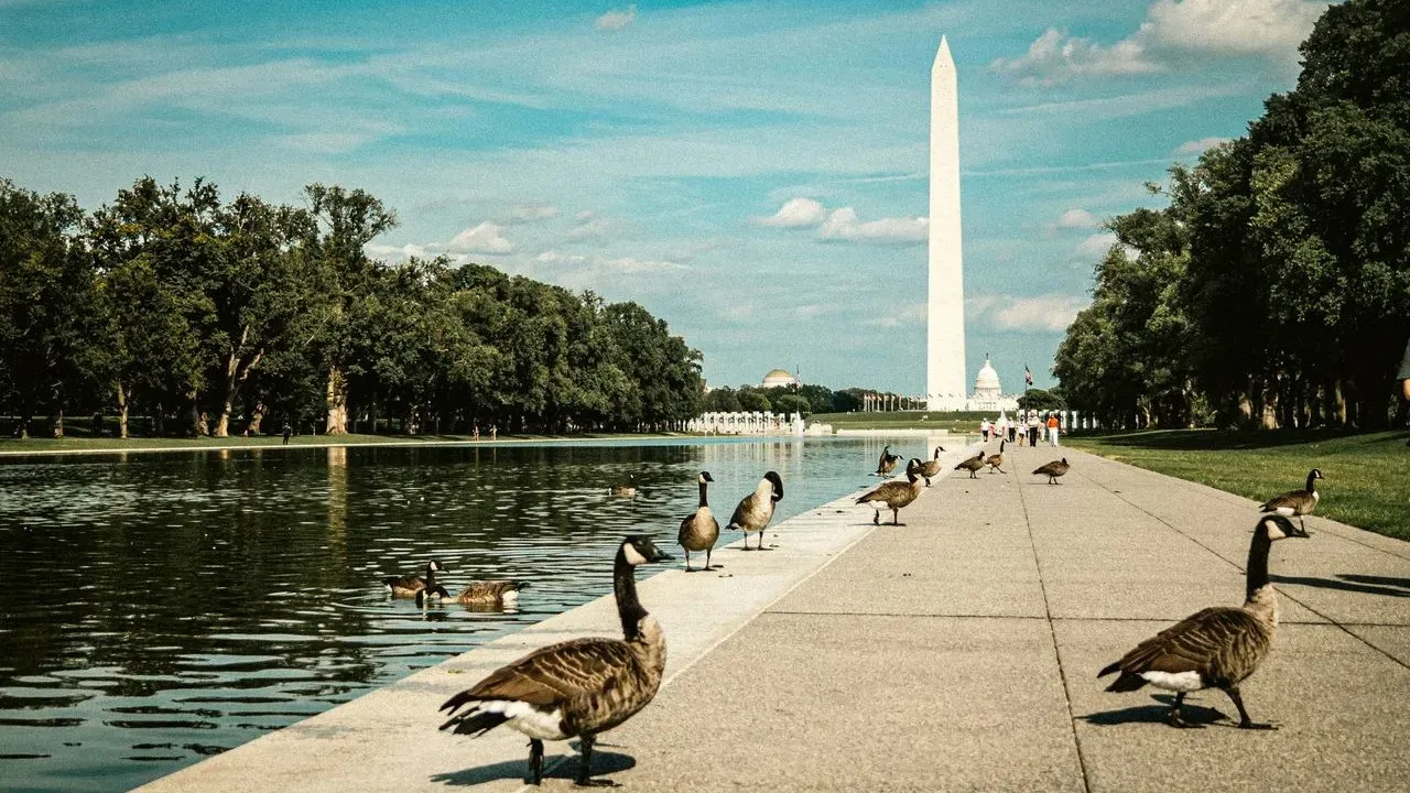National Mall Turf Repair Forces Five-Month Closure