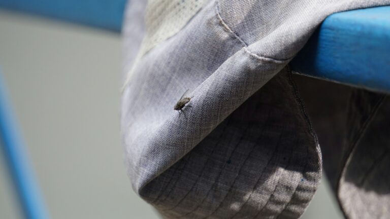 The Secondhand Furniture Mistake That Brings Bedbugs Home - Featured image