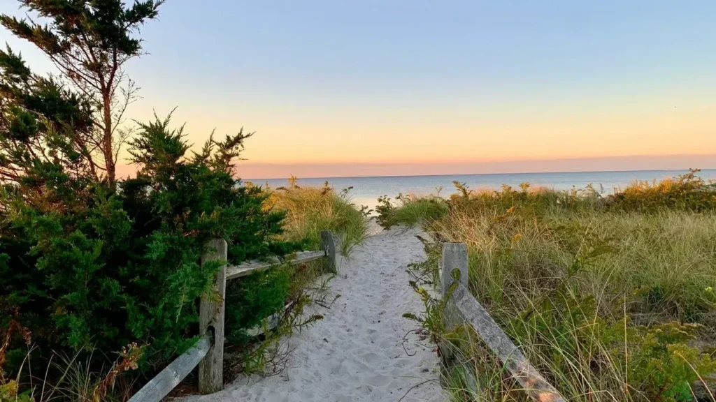 Cape Cod’s Late-Season Warmth Extends Time for Outdoor Harvest Traditions - Featured image
