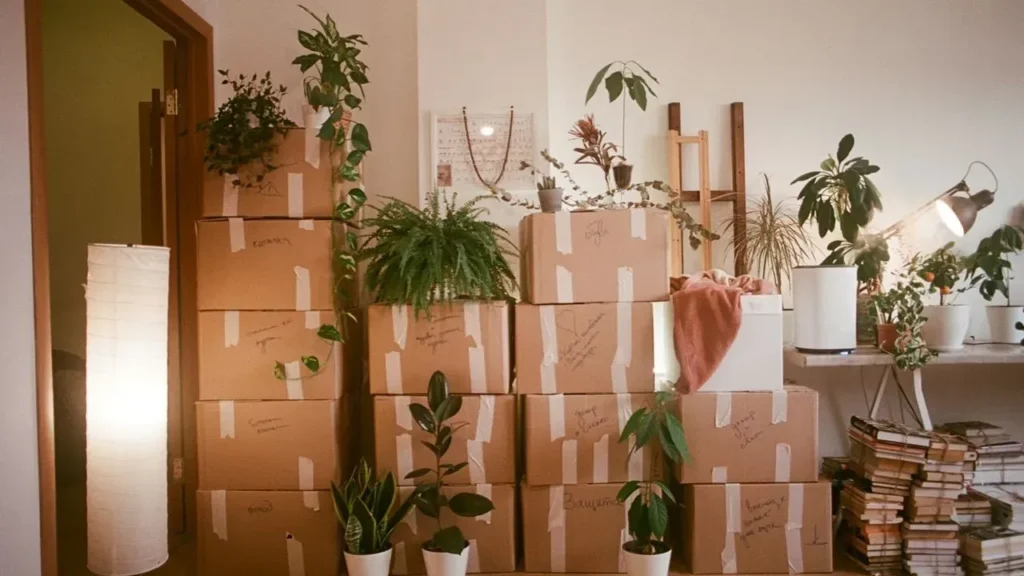 The One Oversight That Turns Relocation Into Chaos - Featured image
