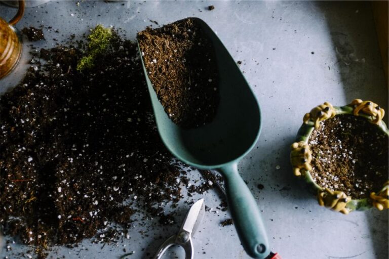 The Bulb Planting Mistake That Leaves Beds Empty in Spring - Featured image