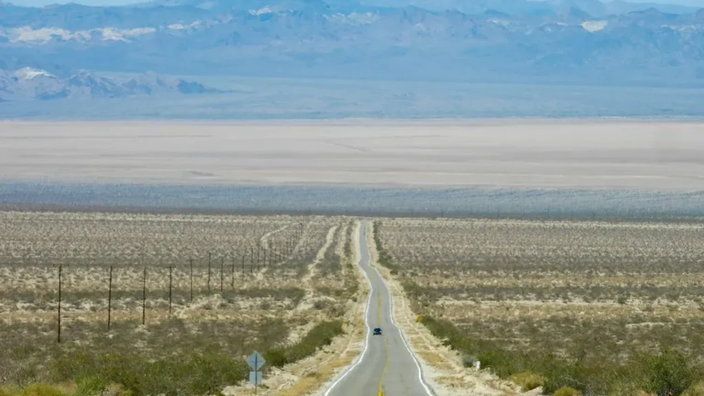 Mojave Desert's Living Soil Faces Pressure From Utility-Scale Solar Plans - Featured image