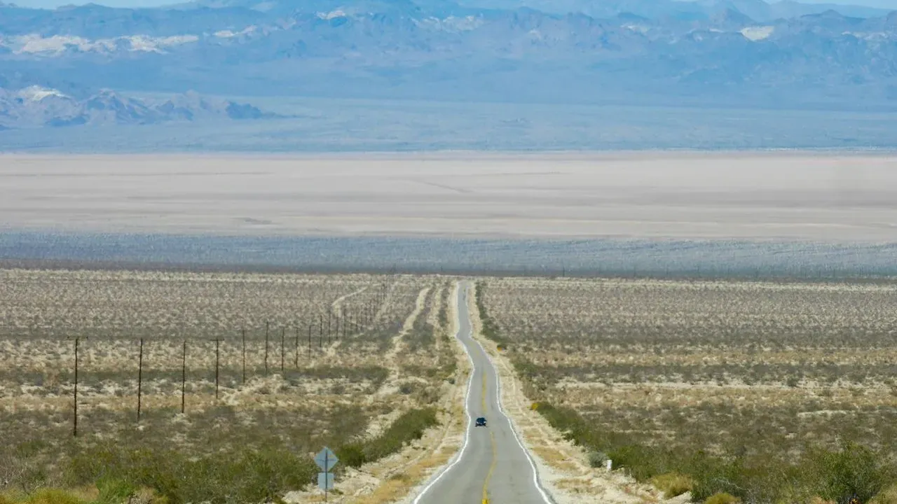 Mojave Desert's Living Soil Faces Pressure From Utility-Scale Solar Plans