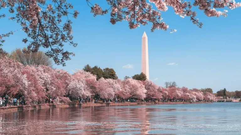 East Potomac Park Golf Course Faces Trump Redesign - Featured image