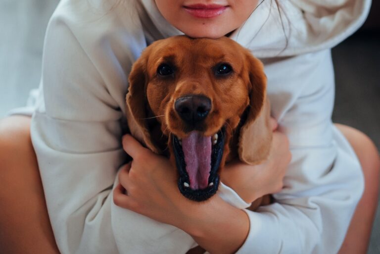 Why Dogs Follow You Into the Bathroom - Featured image