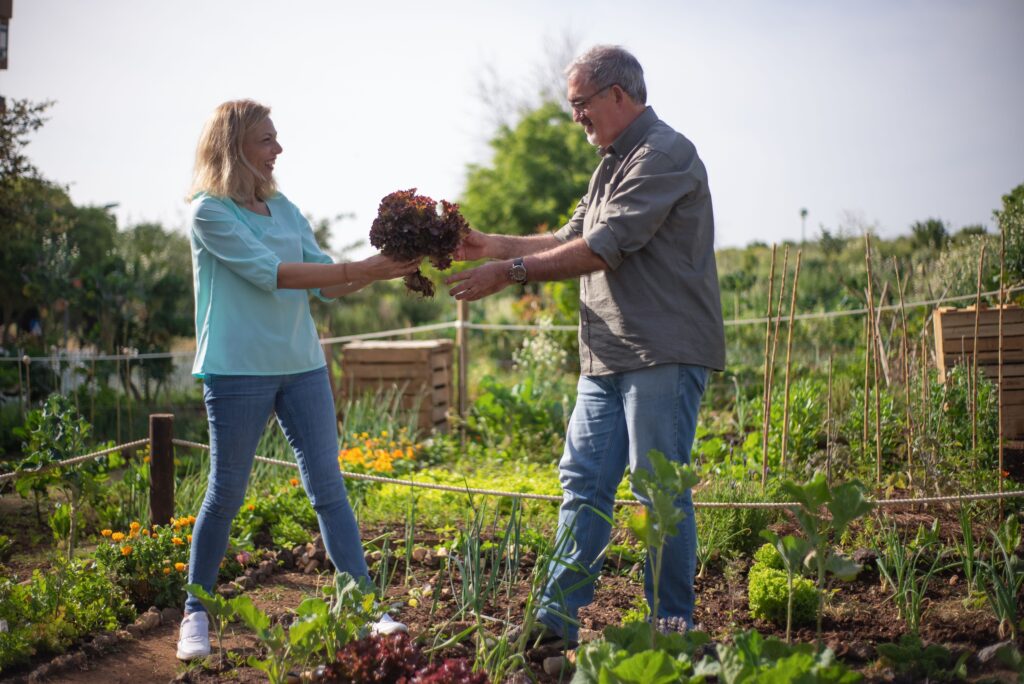 What a Community Garden Plot Reveals About Its Owner - Featured image