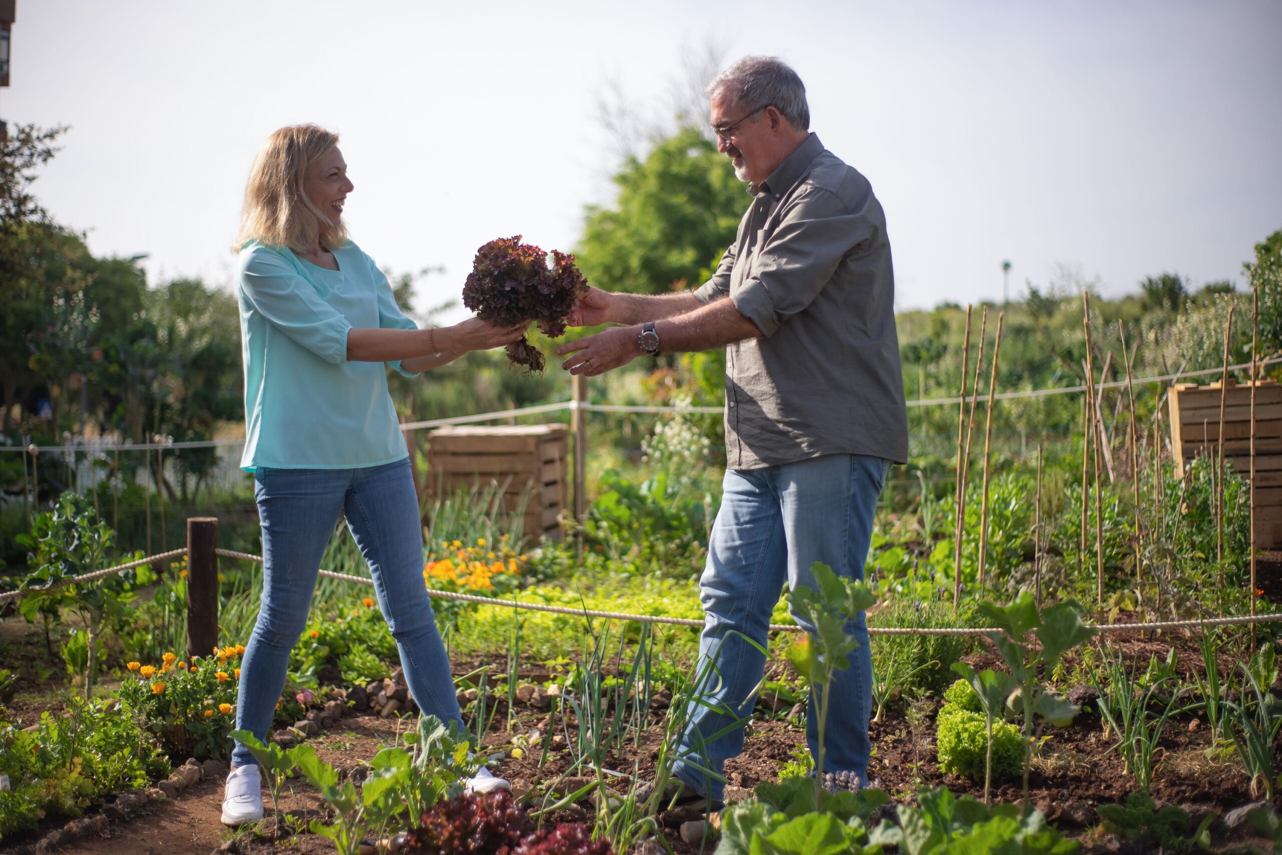 What a Community Garden Plot Reveals About Its Owner