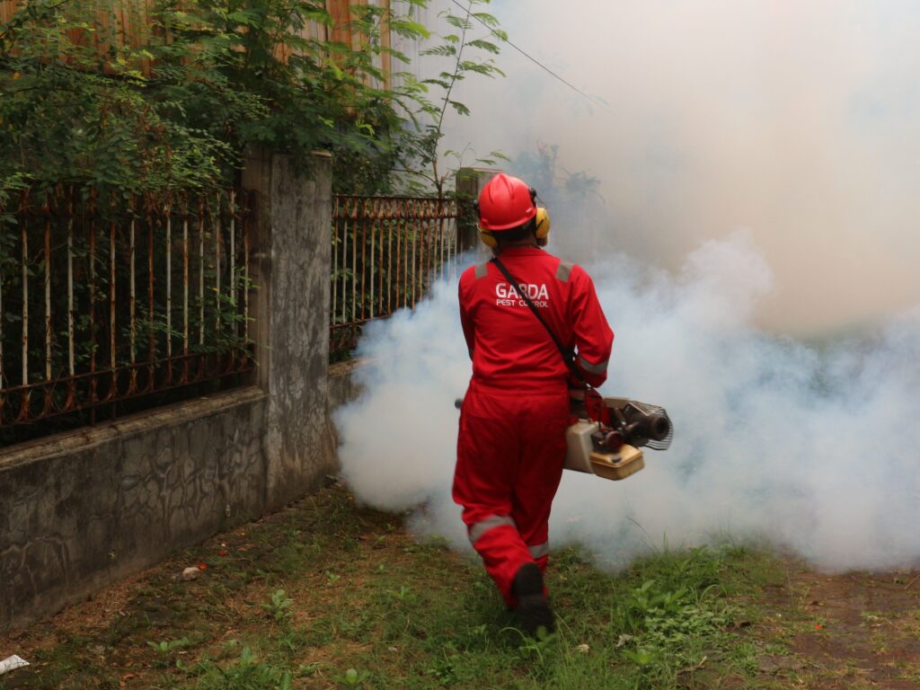 7 Places Pest Control Experts Always Check First (That Homeowners Never Do) - Featured image