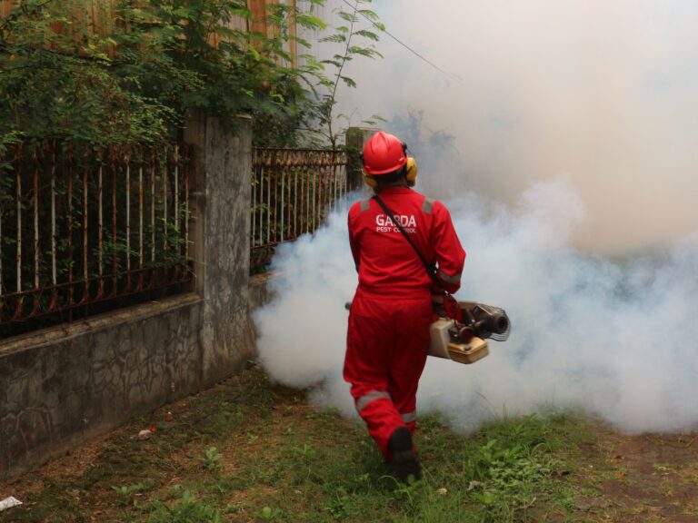 7 Places Pest Control Experts Always Check First (That Homeowners Never Do) - Featured image
