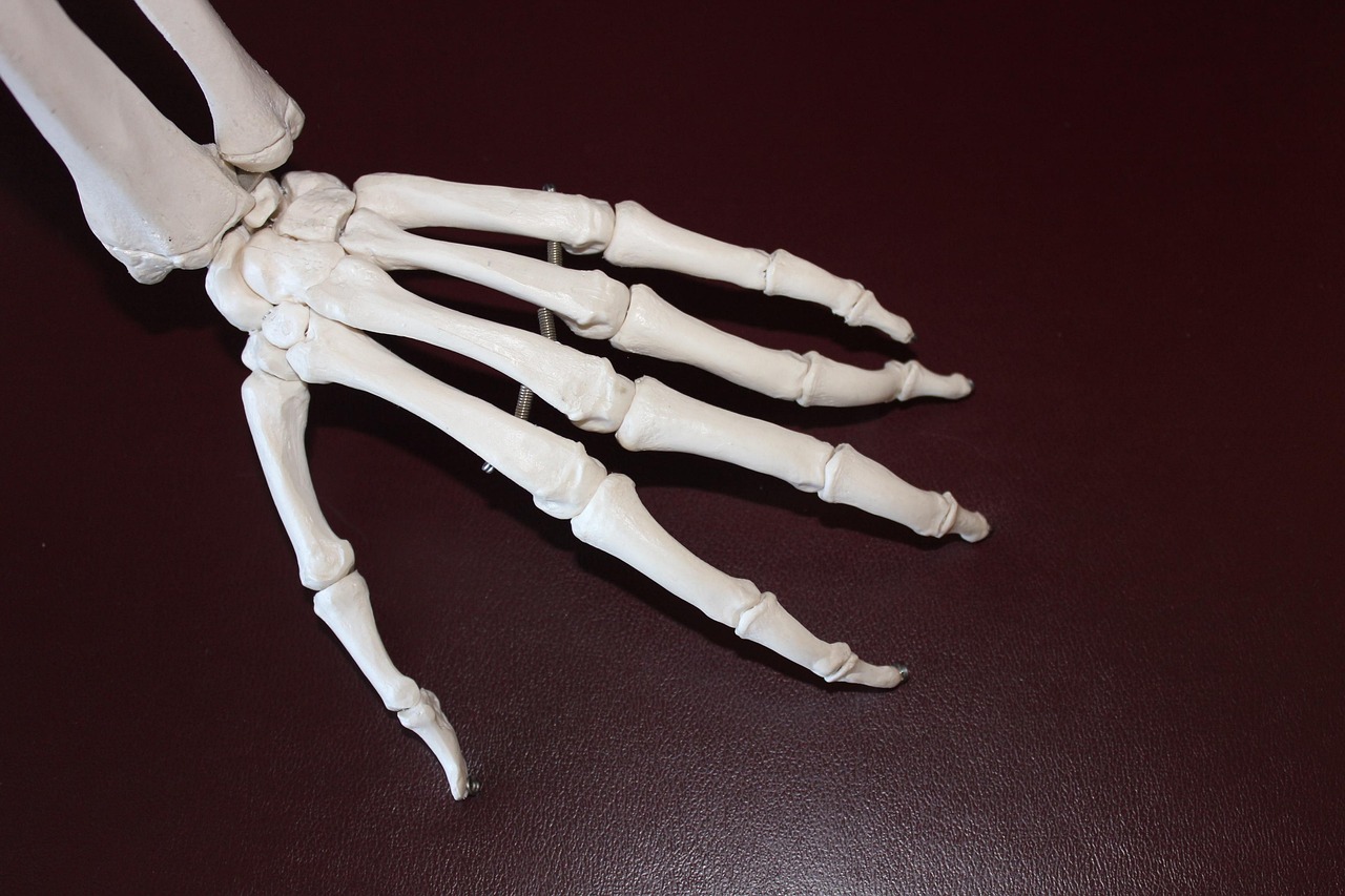 Why Your Joints Crack When You Stretch – and When Doctors Say It Matters