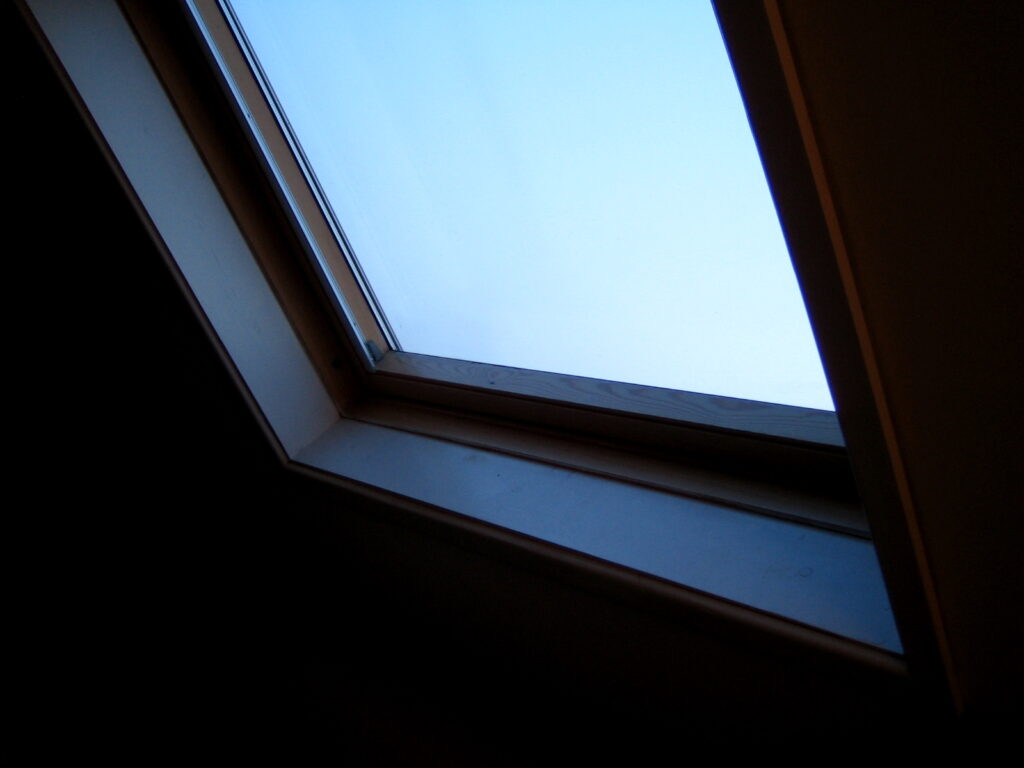 6 Signs Wildlife Has Moved Into Your Attic Without You Knowing - Featured image