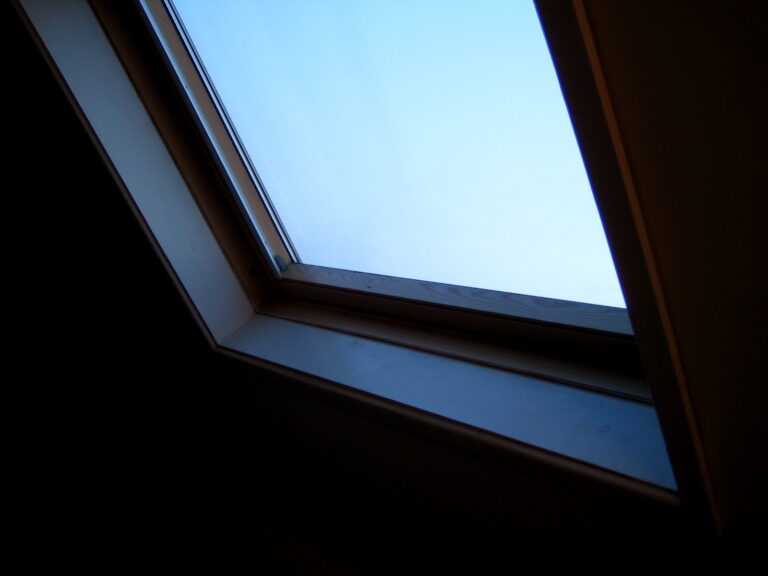 6 Signs Wildlife Has Moved Into Your Attic Without You Knowing - Featured image