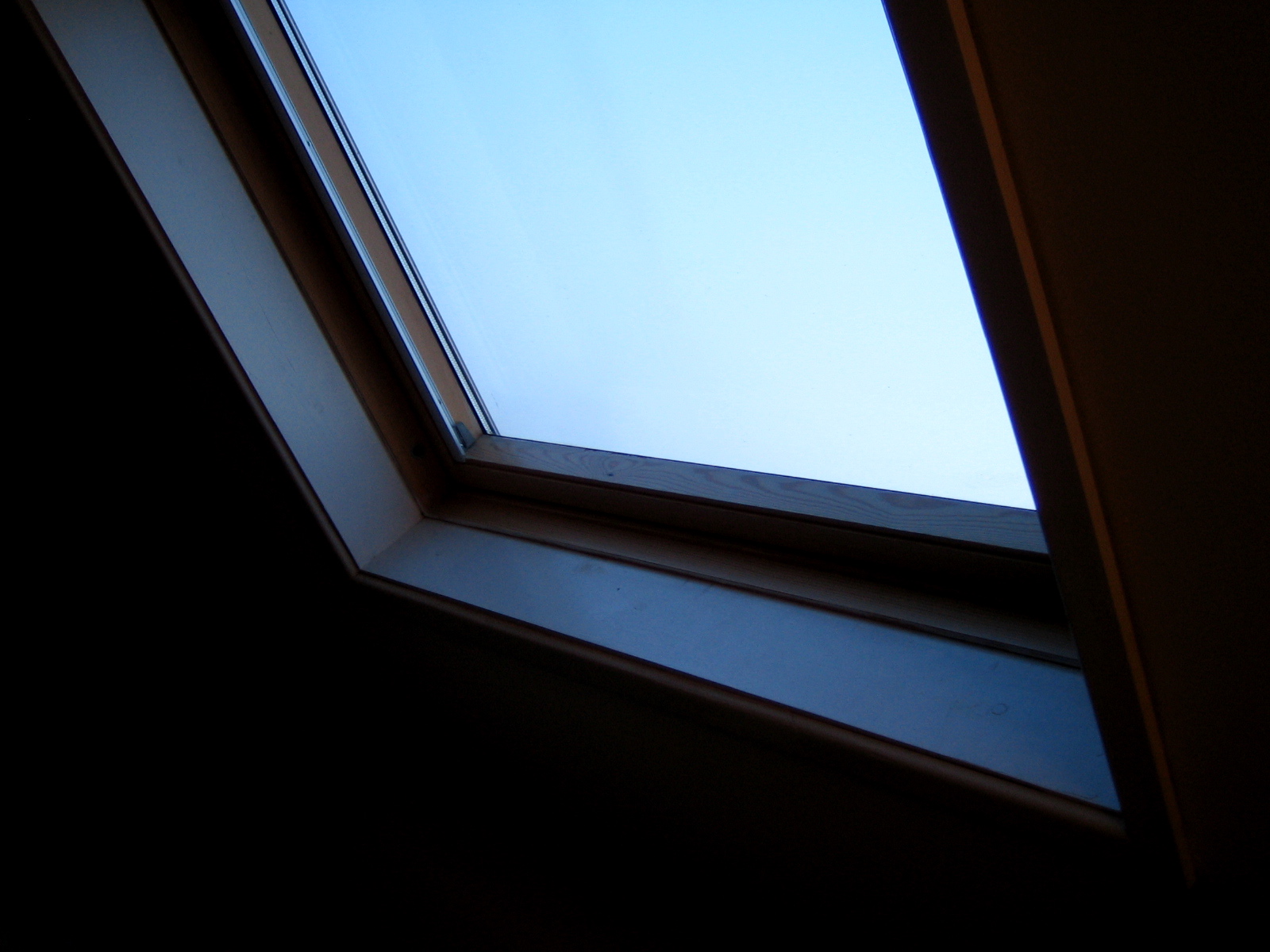 6 Signs Wildlife Has Moved Into Your Attic Without You Knowing