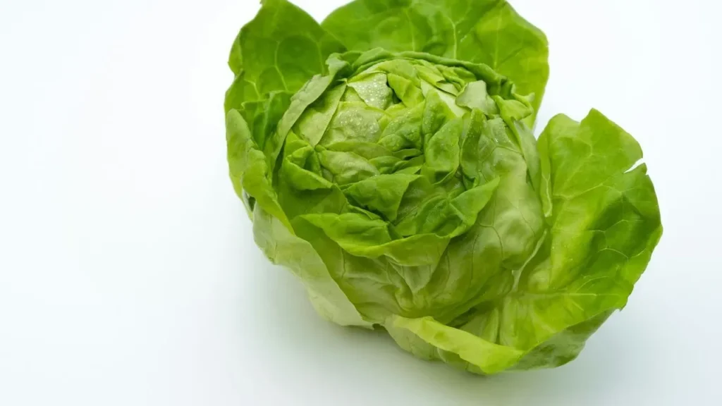 Lettuce Recall Ends, Sales Fallout Continues - Featured image