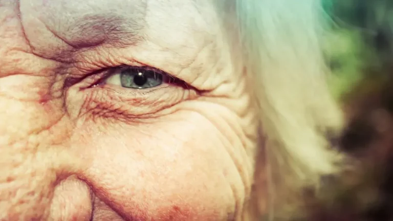 Sea Squirt Substance Reverses Aging Signs in Mice - Featured image