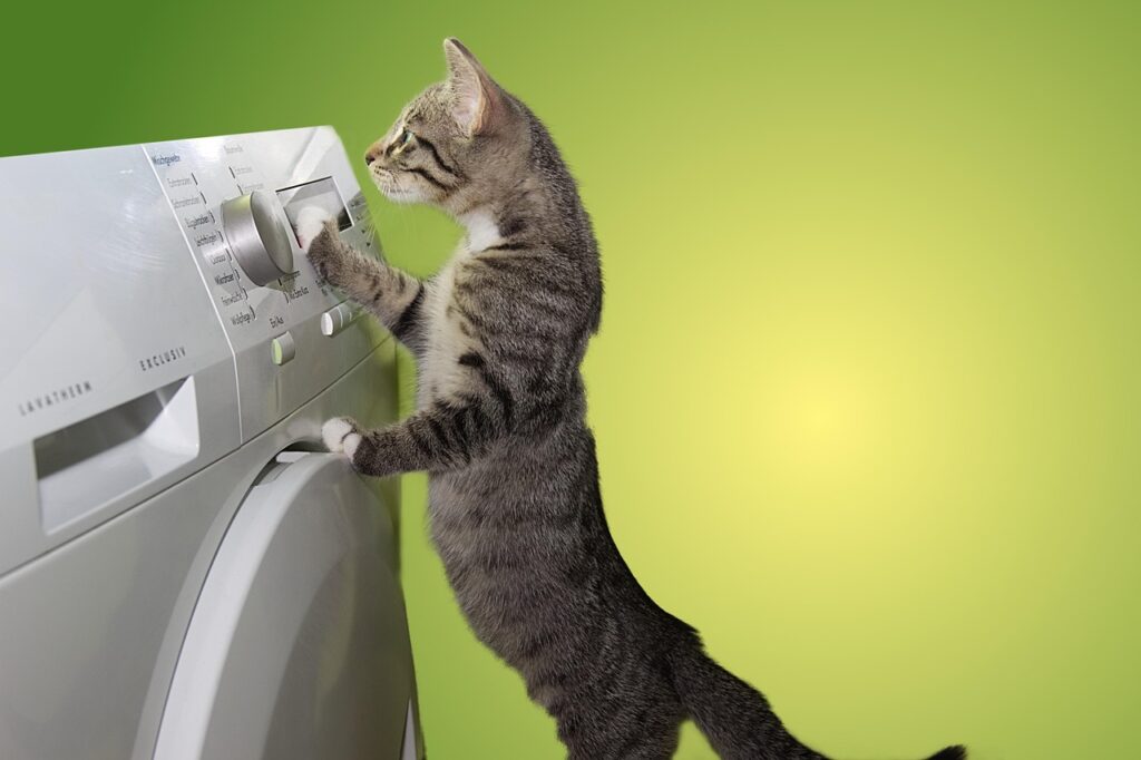 5 Common Household Chemicals That Are Dangerous If Pets Get Into Them - Featured image