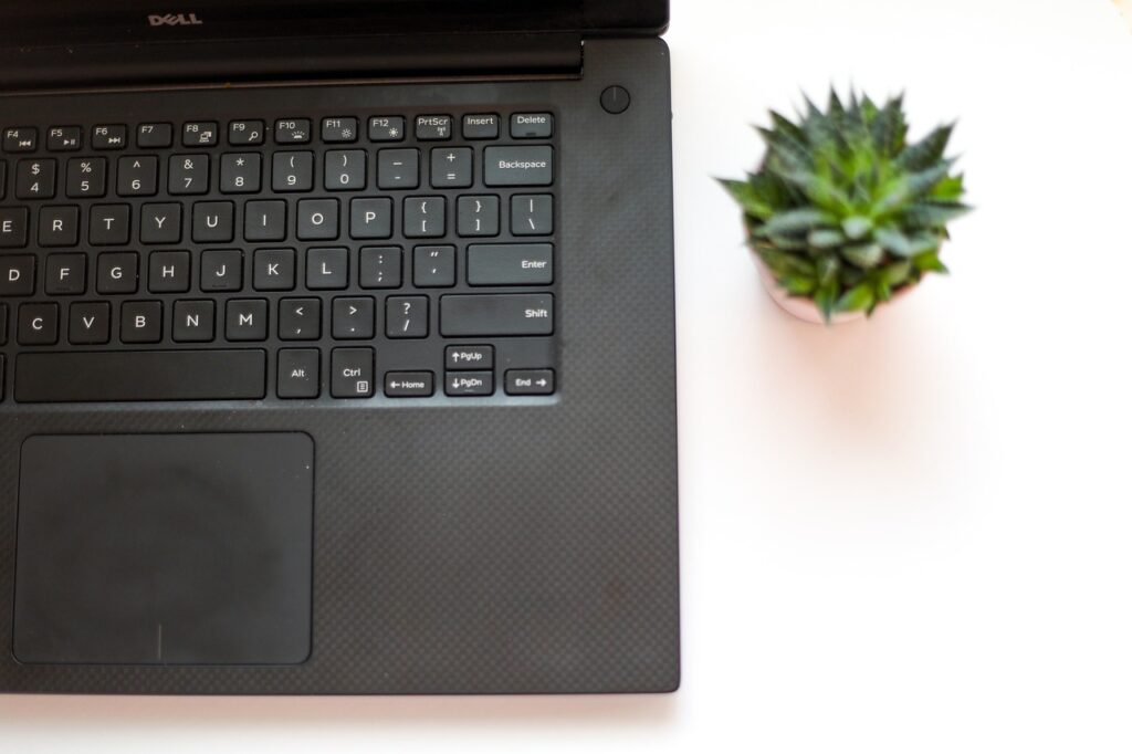 The Desk Plant Choice That Actually Improves Focus - Featured image
